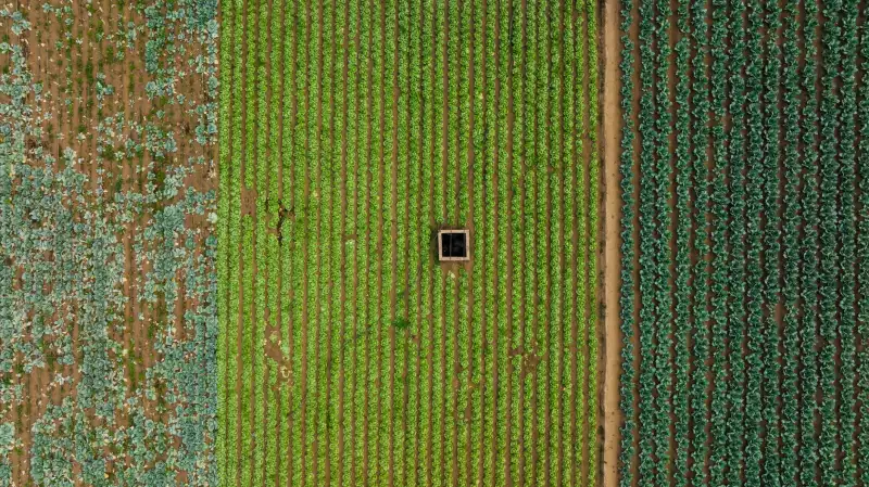 RS485中继器与串口转换器在工业长距离通信中的选型要点解析